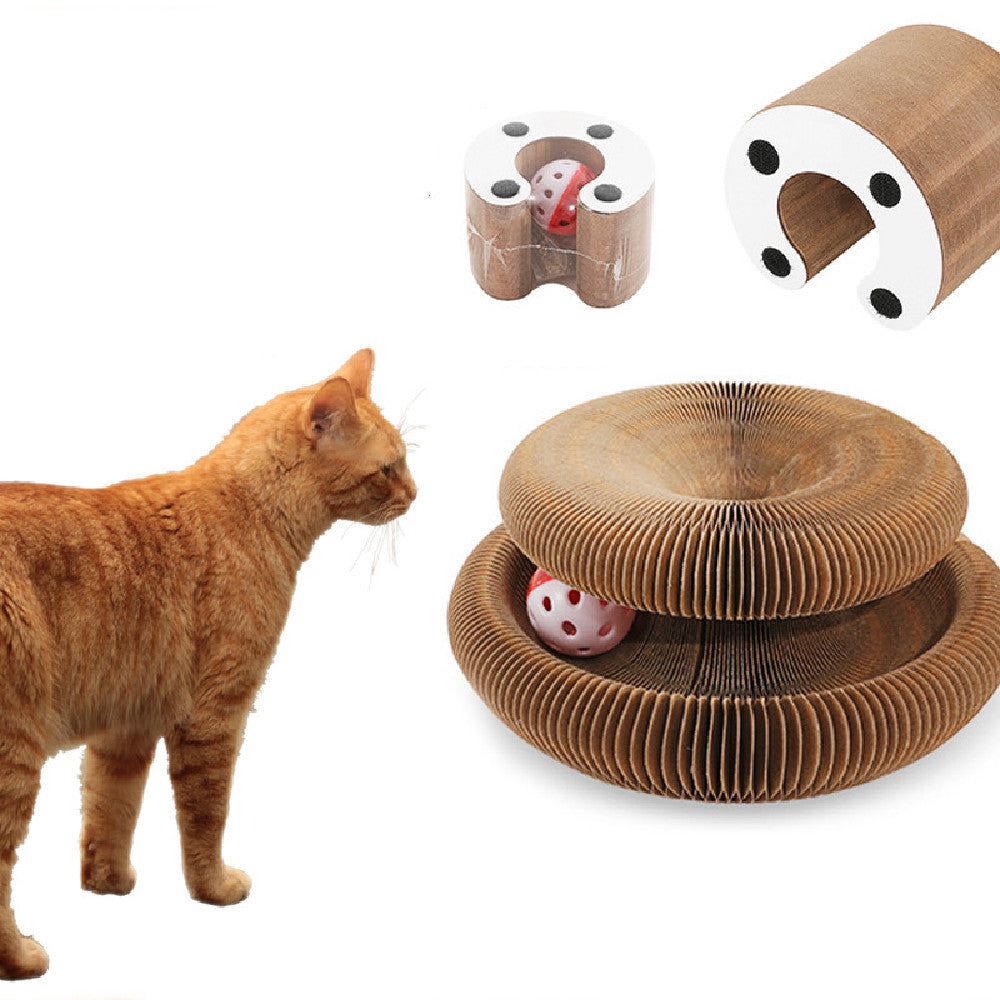 Pet Accessories
