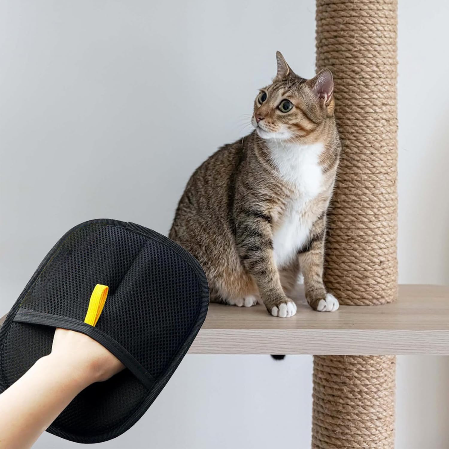 Pet Electrostatic Hair Removal Gloves Two-way Bristle Remover