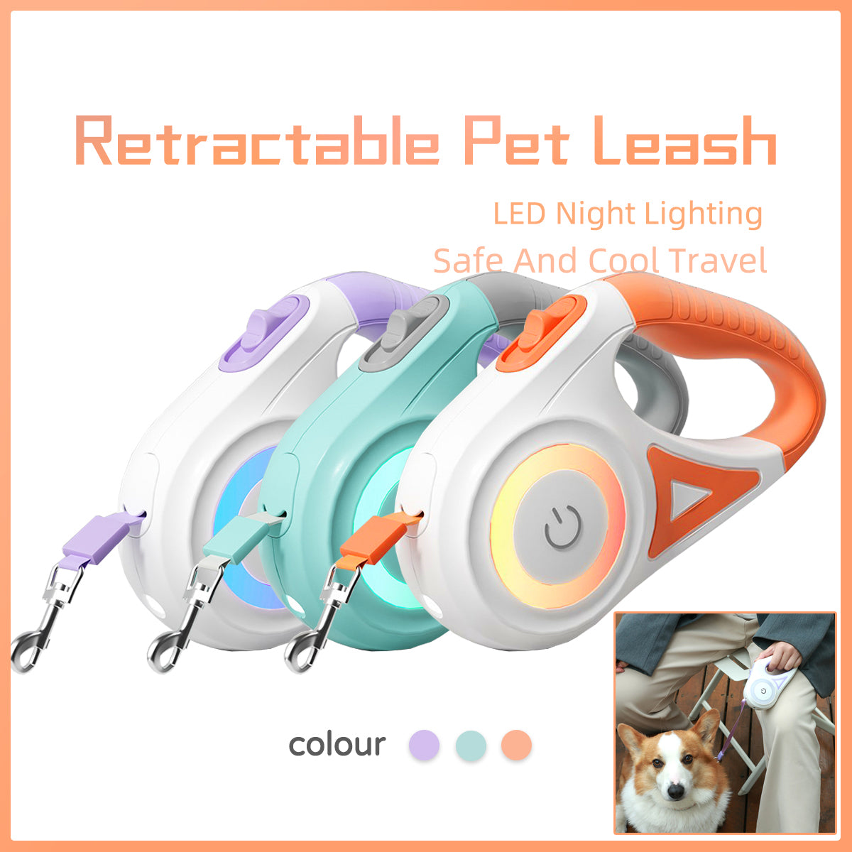 Dog Leash, Retractable Leash, and Dog Collar Spotlight
